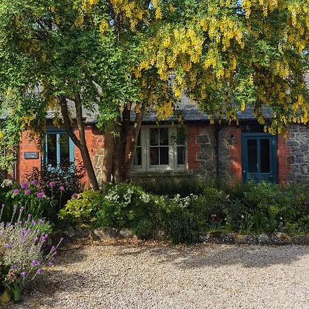 Courtyard Cottage-2